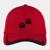 Pique Colorblock Cap Thumbnail