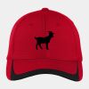 Pique Colorblock Cap Thumbnail
