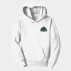 Youth Fan Favorite Fleece Pullover Hooded Sweatshirt Thumbnail