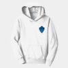 Youth Fan Favorite Fleece Pullover Hooded Sweatshirt Thumbnail