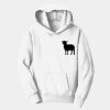 Youth Fan Favorite Fleece Pullover Hooded Sweatshirt Thumbnail