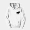 Youth Fan Favorite Fleece Pullover Hooded Sweatshirt Thumbnail