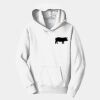 Youth Fan Favorite Fleece Pullover Hooded Sweatshirt Thumbnail