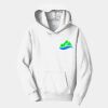 Youth Fan Favorite Fleece Pullover Hooded Sweatshirt Thumbnail