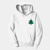 Youth Fan Favorite Fleece Pullover Hooded Sweatshirt Thumbnail