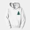 Youth Fan Favorite Fleece Pullover Hooded Sweatshirt Thumbnail