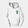 Youth Fan Favorite Fleece Pullover Hooded Sweatshirt Thumbnail