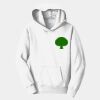 Youth Fan Favorite Fleece Pullover Hooded Sweatshirt Thumbnail