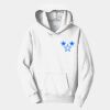 Youth Fan Favorite Fleece Pullover Hooded Sweatshirt Thumbnail